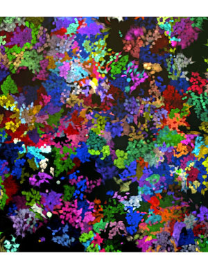 LeGO Vectors